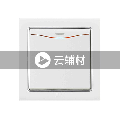AN161 一位单控带灯开关 10AX (白色)