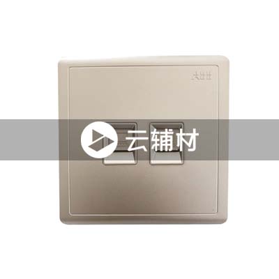 AQ332-CG二位八芯电脑插座，金色