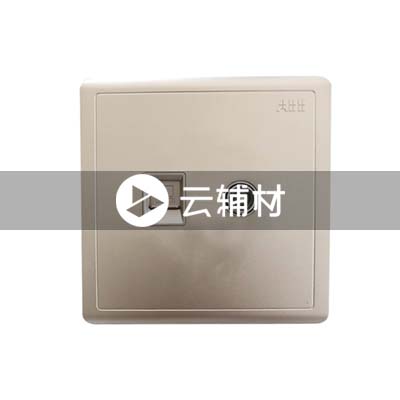 AQ325-CG二位电视/电脑插座，金色