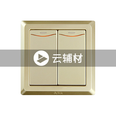AE162-PG 二位单控带灯开关 10AX（香槟金）