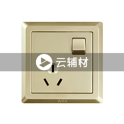 AE228-PG 一位三极带开关插座 16A（香槟金）