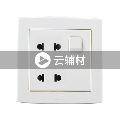 AL222二位二极扁圆两用带开关插座 10A