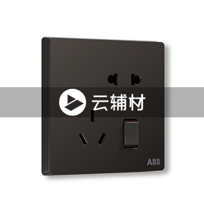 AF225-885二位中标带开关二三极插座 10A