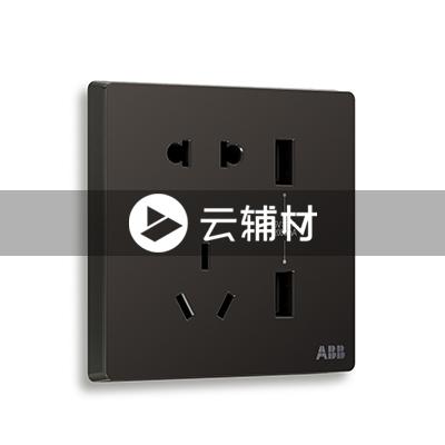 AF293-885二位带USB充电中标二三极插座10A